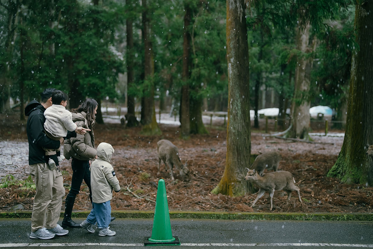 Osaka - Nara Park