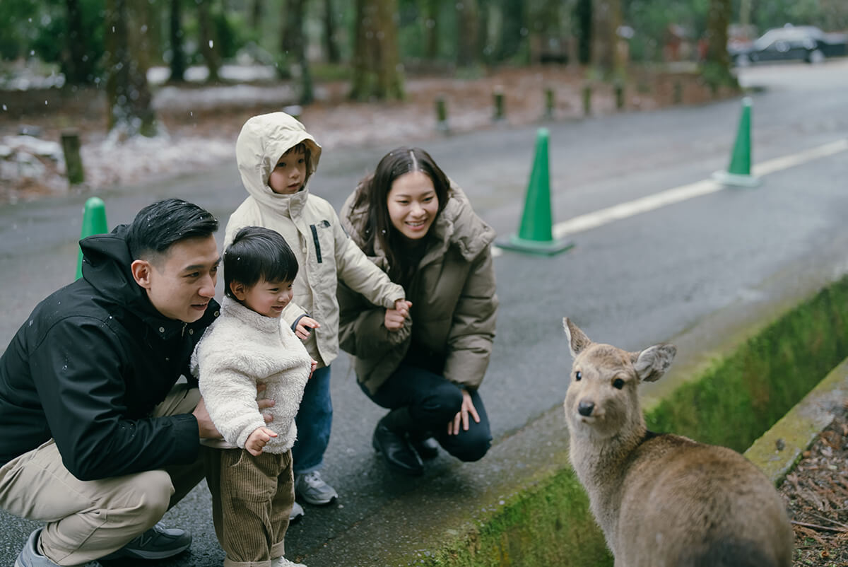 Osaka - Nara Park