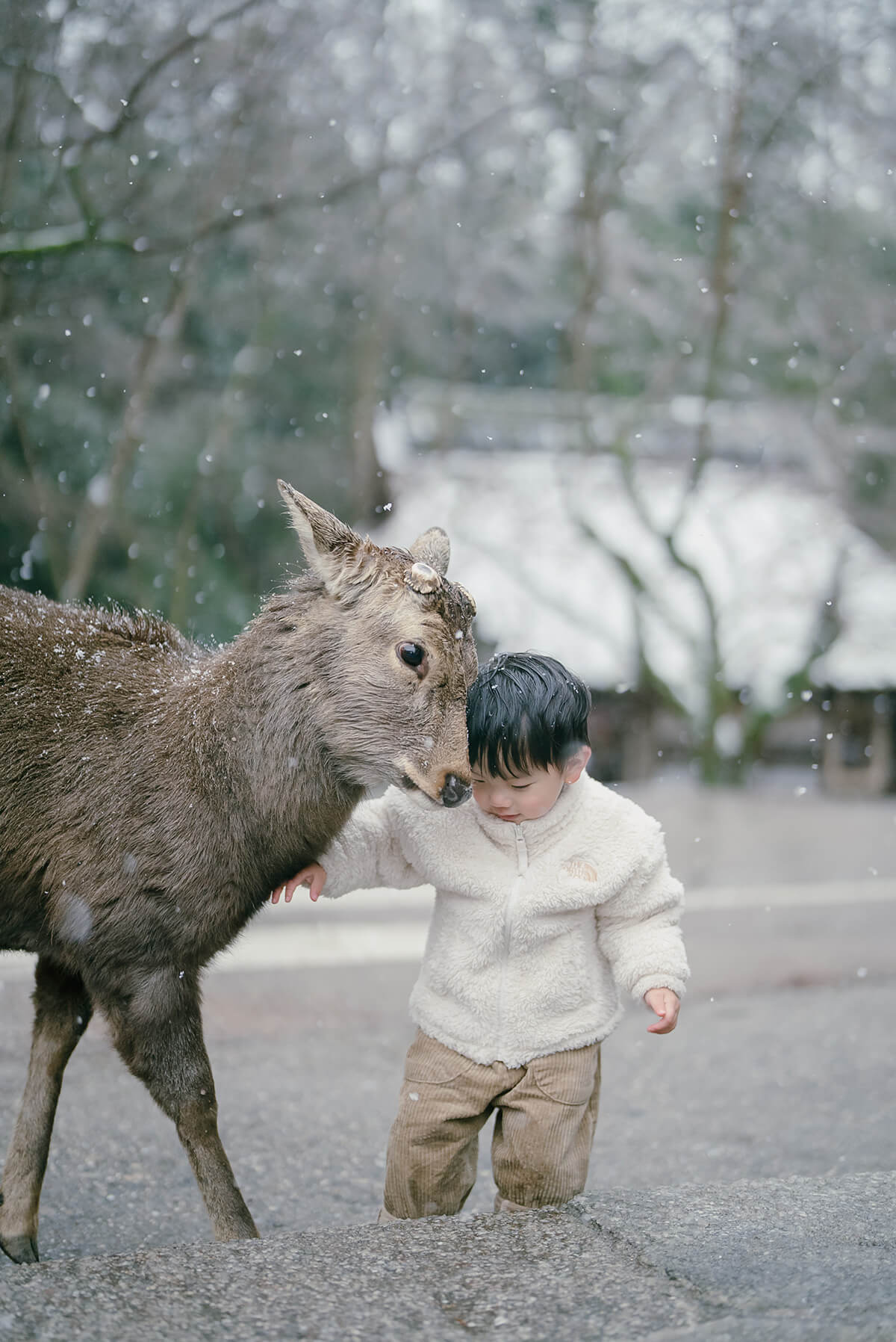 Osaka - Nara Park