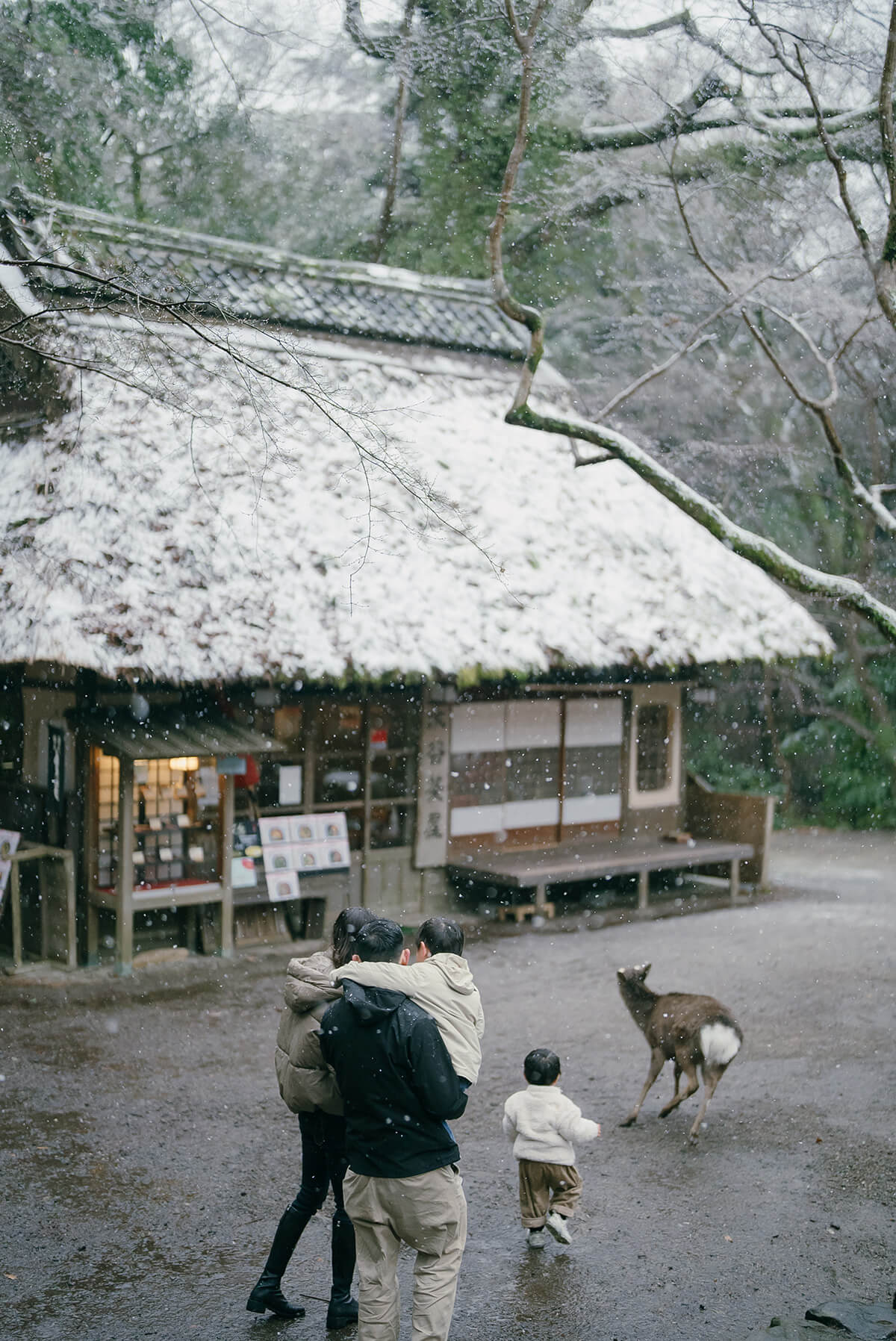 Osaka - Nara Park