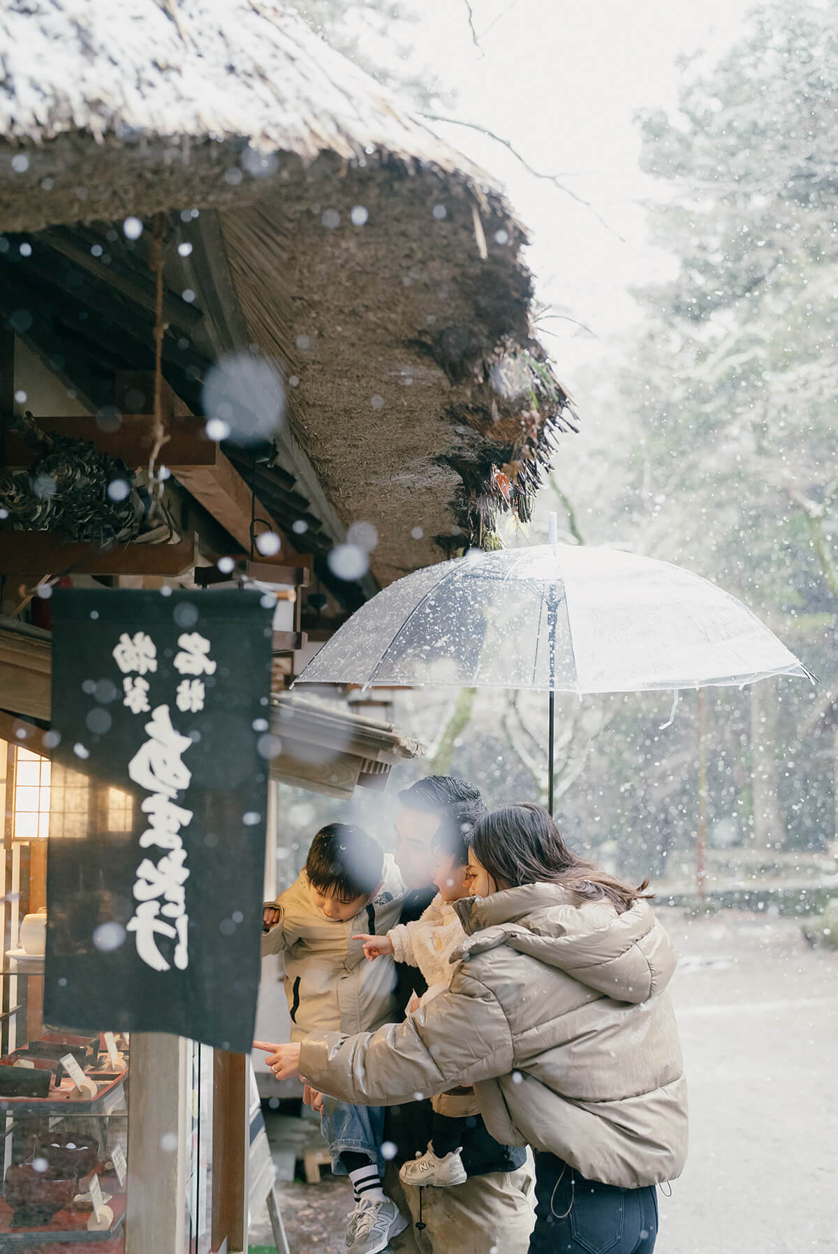 Osaka - Nara Park