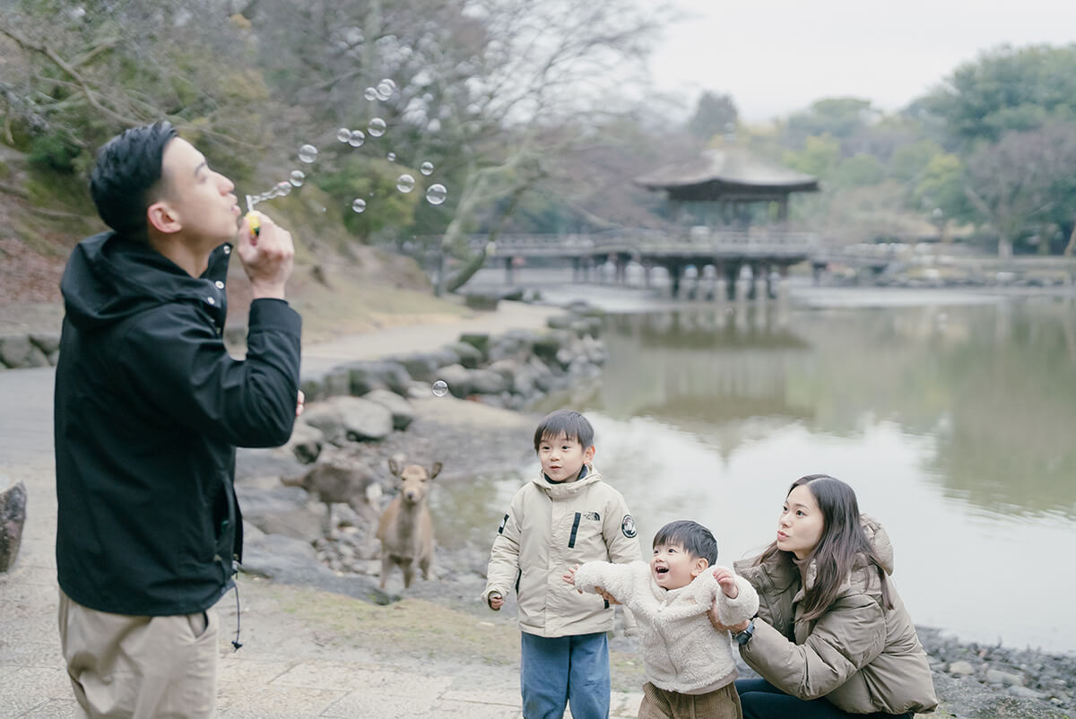 Osaka - Nara Park