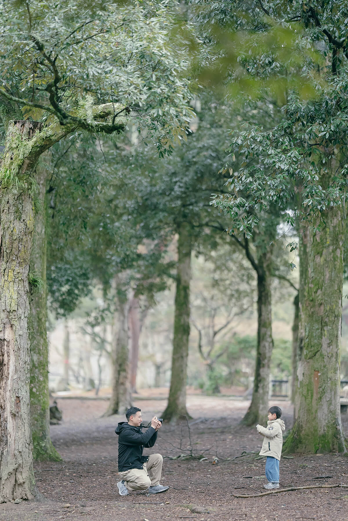 Osaka - Nara Park