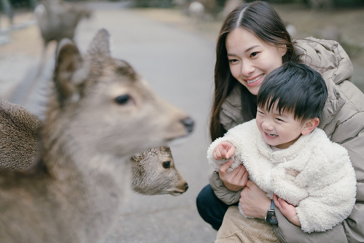 Osaka - Nara Park