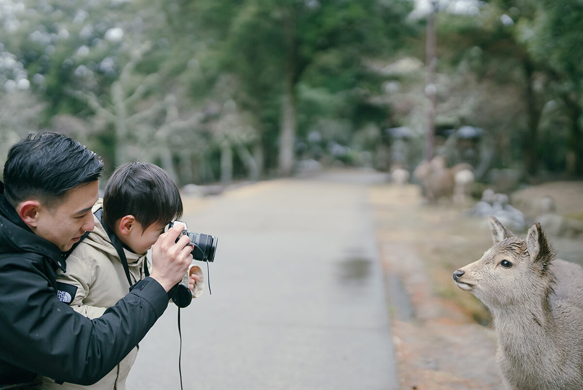 Osaka - Nara Park