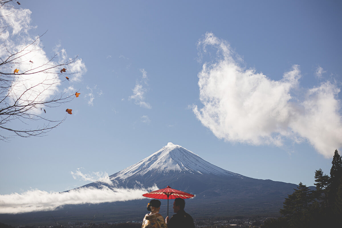 Tokyo Mt. Fuji - 雅