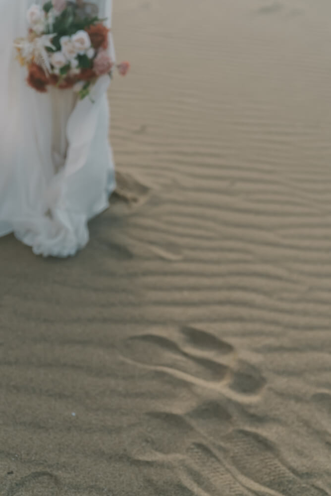 Tottori Sand Dunes/[Okayama/Japan]